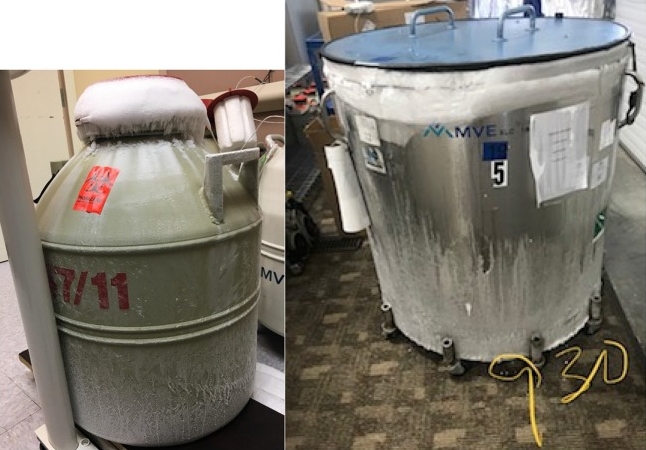 液氮罐內部結冰