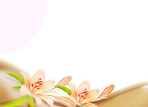新概念母嬰護(hù)理 重塑家政服務(wù)，打造專(zhuān)業(yè)月嫂與陪護(hù)新標(biāo)桿
